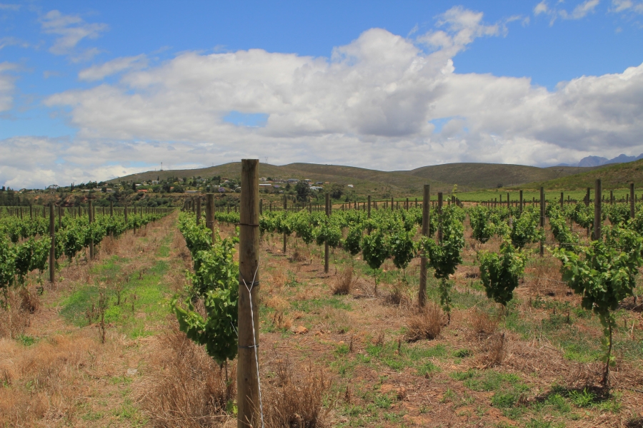 6 Bedroom Property for Sale in Ashton Western Cape